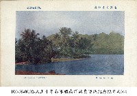 土魯克群島沿海植物樣貌藏品圖，第1張