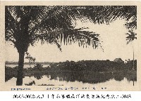 從馬紹爾群島上遠眺藏品圖，第1張