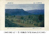 南洋島嶼上椰子園藏品圖，第1張