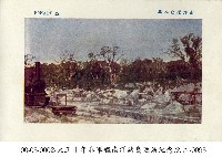 南洋島嶼上露天開採磷礦藏品圖，第1張