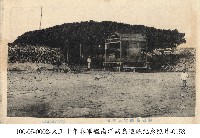 澎湖通梁大榕樹藏品圖，第1張