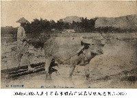 水牛耕作藏品圖，第1張