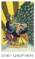 臺灣電力の展望藏品圖，第5張