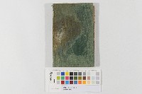 臺灣樹木便覽藏品圖，第1張