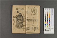 國民保健青草家庭自療法全集藏品圖，第3張