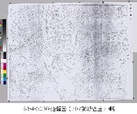 日治時期地籍圖【新店庄】藏品圖，第3張