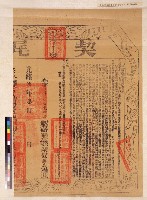 契尾(周港泉立杜賣盡根田契)藏品圖，第1張