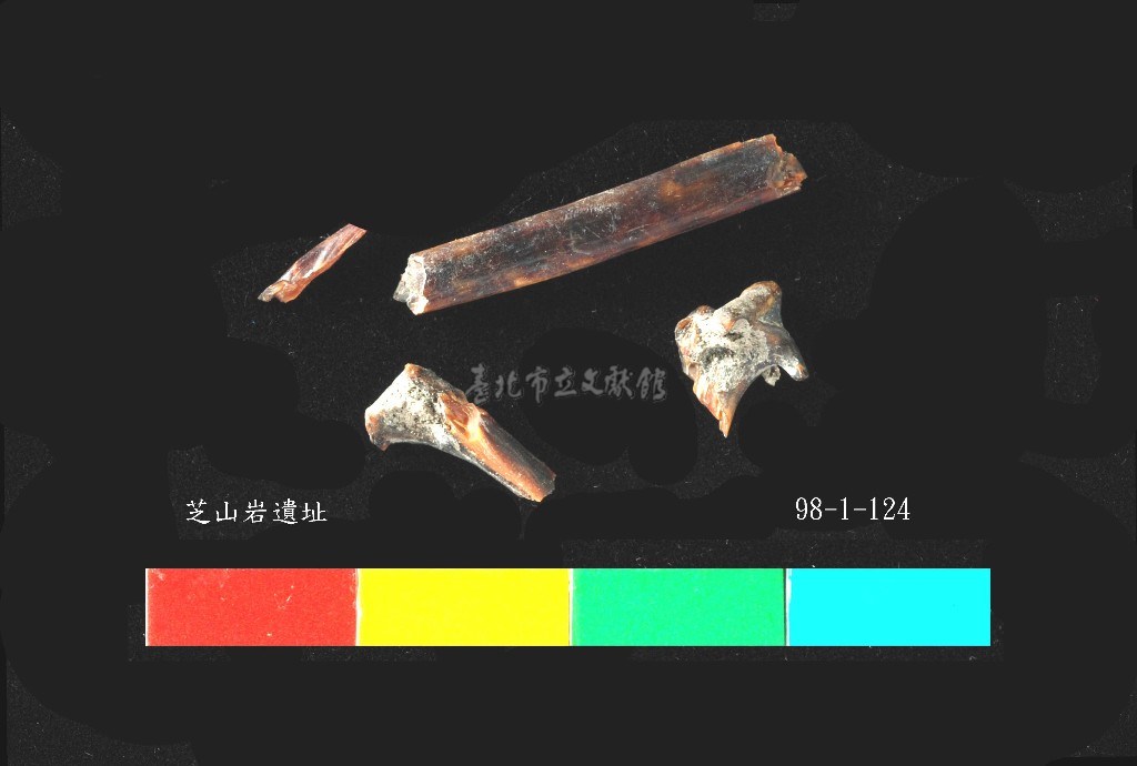 大圖瀏覽