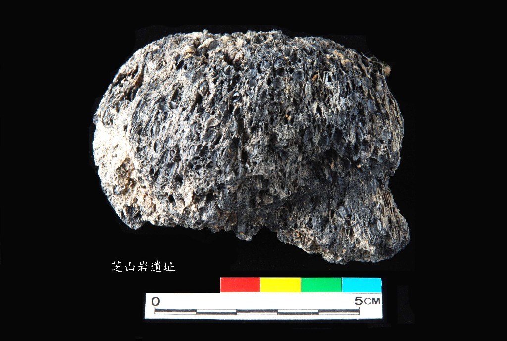 大圖瀏覽