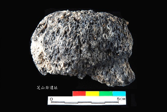 芝山岩文化帶穗稻穀糰塊藏品圖，第1張