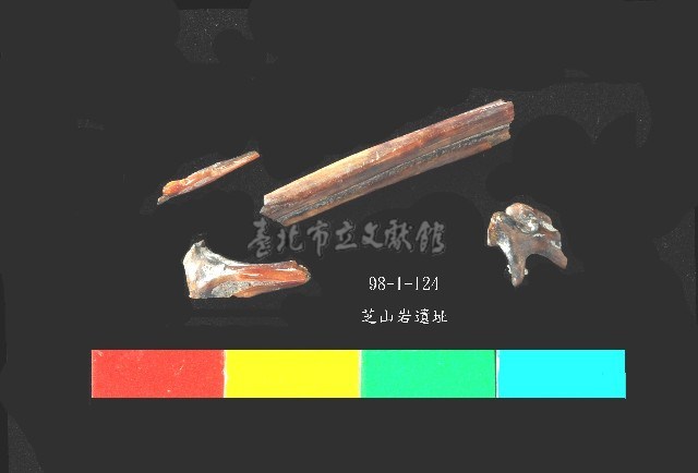 芝山岩文化骨藏品圖，第2張