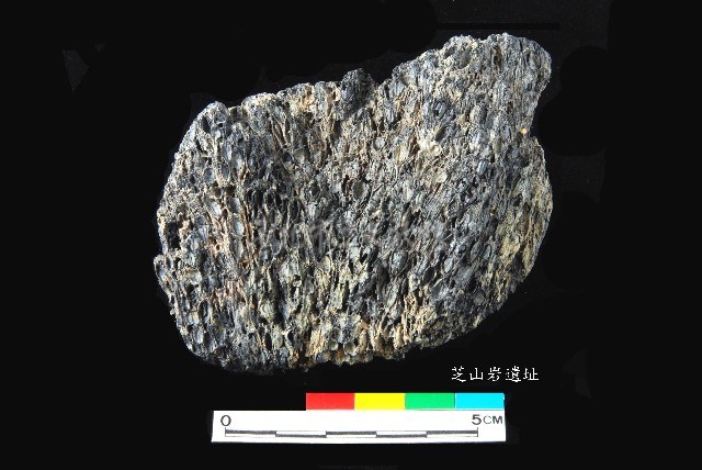芝山岩文化帶穗稻穀糰塊藏品圖，第9張