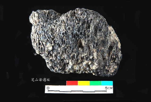 芝山岩文化帶穗稻穀糰塊藏品圖，第6張
