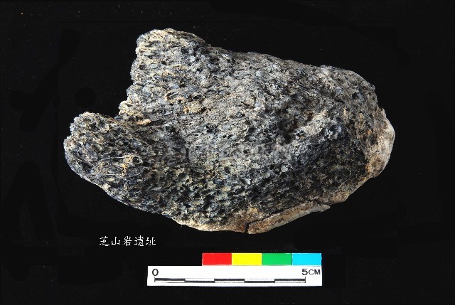 芝山岩文化帶穗稻穀糰塊藏品圖，第13張