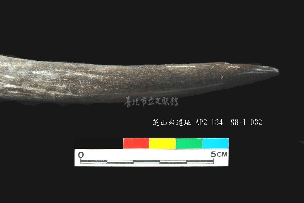 大圖瀏覽