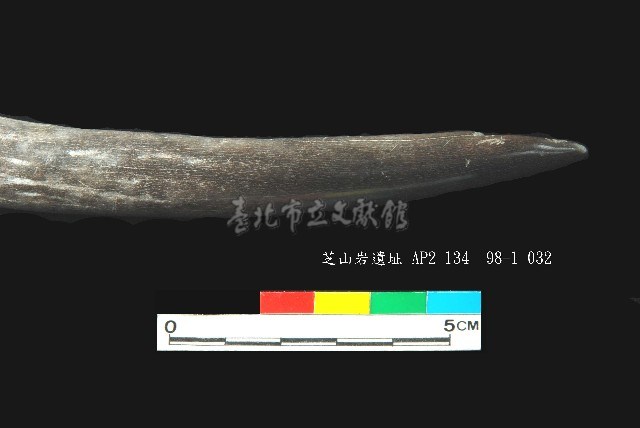 芝山岩文化鹿角藏品圖，第4張