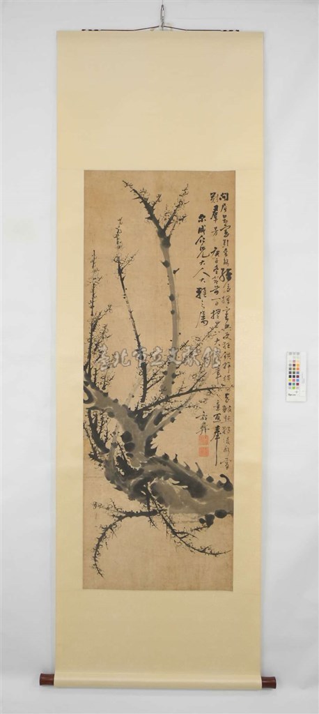 大圖瀏覽