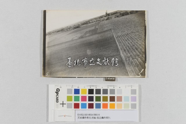 美軍轟炸彰化地區-低空轟炸照片藏品圖，第1張