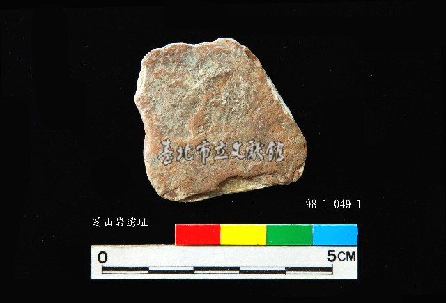 松山層窗貝藏品圖，第3張