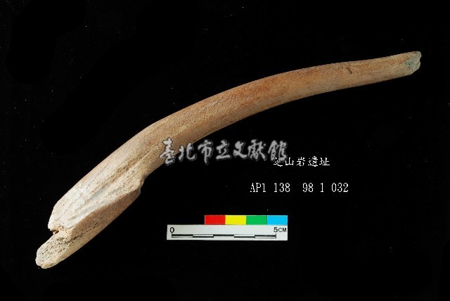 芝山岩文化角尖器藏品圖，第3張