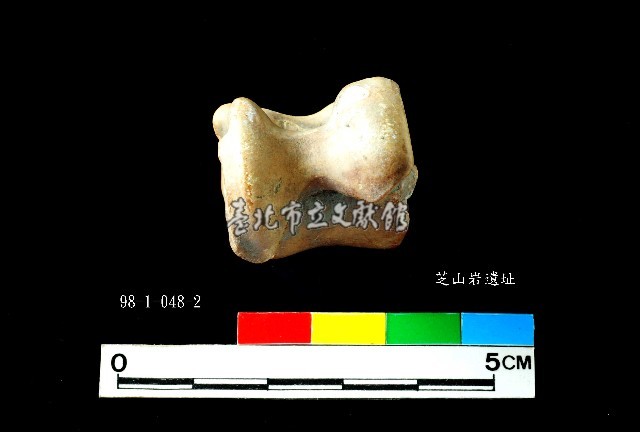 芝山岩文化獸距骨藏品圖，第3張