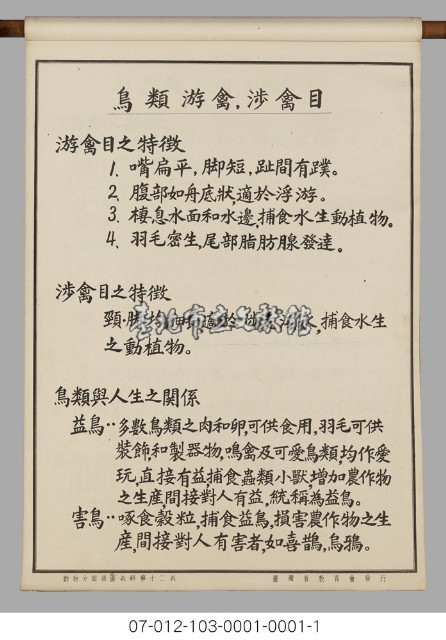 動物分類掛圖表解藏品圖，第14張