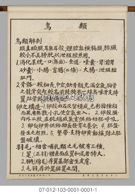 動物分類掛圖表解藏品圖，第11張