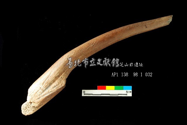 芝山岩文化角尖器藏品圖，第1張