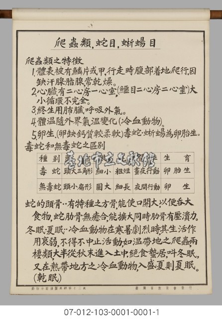動物分類掛圖表解藏品圖，第15張