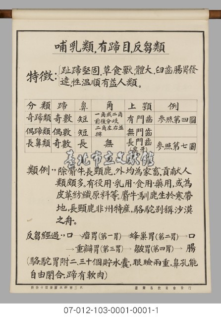 動物分類掛圖表解藏品圖，第5張