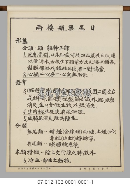 動物分類掛圖表解藏品圖，第17張
