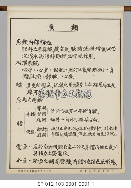 動物分類掛圖表解藏品圖，第18張