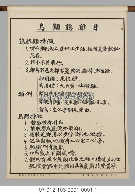 動物分類掛圖表解藏品圖，第10張