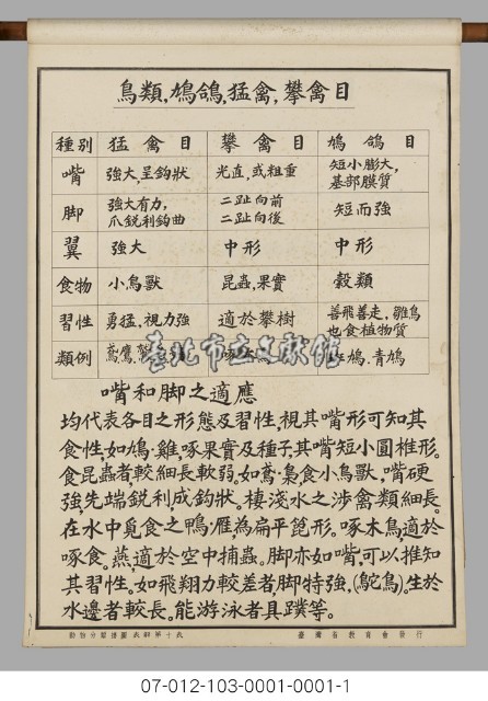 動物分類掛圖表解藏品圖，第12張
