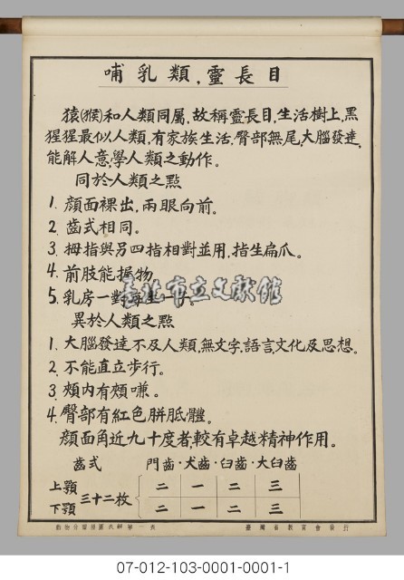 動物分類掛圖表解藏品圖，第3張