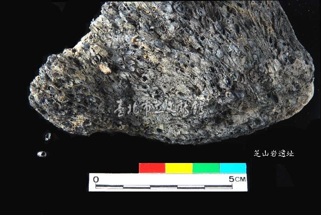 芝山岩文化帶穗稻穀糰塊藏品圖，第14張