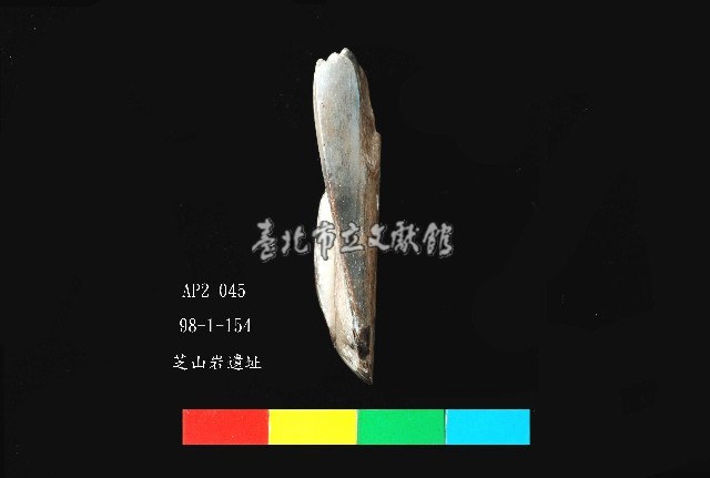 芝山岩文化骨鑿藏品圖，第4張