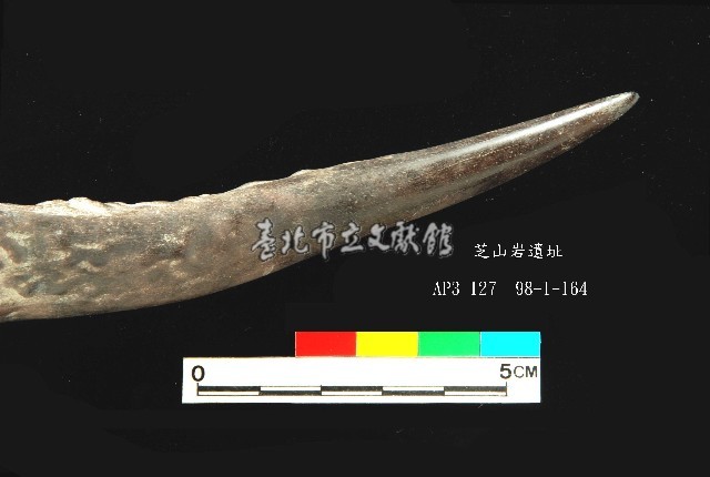芝山岩文化鹿角藏品圖，第4張