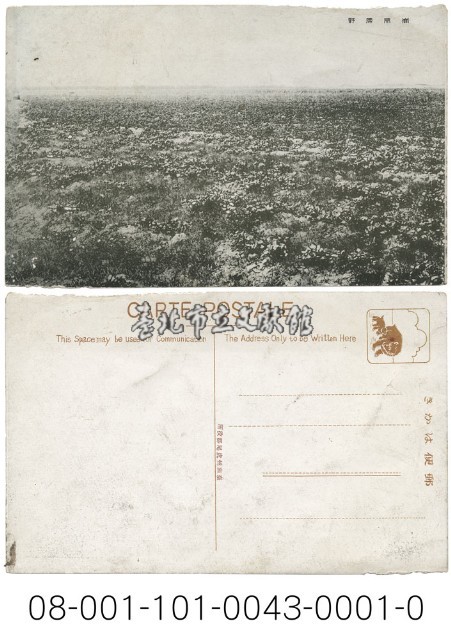 崙背原野藏品圖，第1張