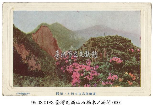 能高山上盛開的石楠木藏品圖，第1張