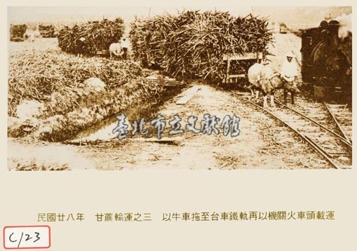 甘蔗輸運之三 以牛車拖至台車鐵軌再以機關火車頭載運藏品圖，第1張