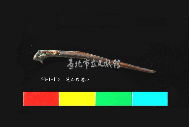 芝山岩文化魚骨藏品圖，第1張