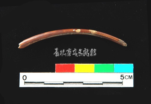 芝山岩文化獸肋骨藏品圖，第1張