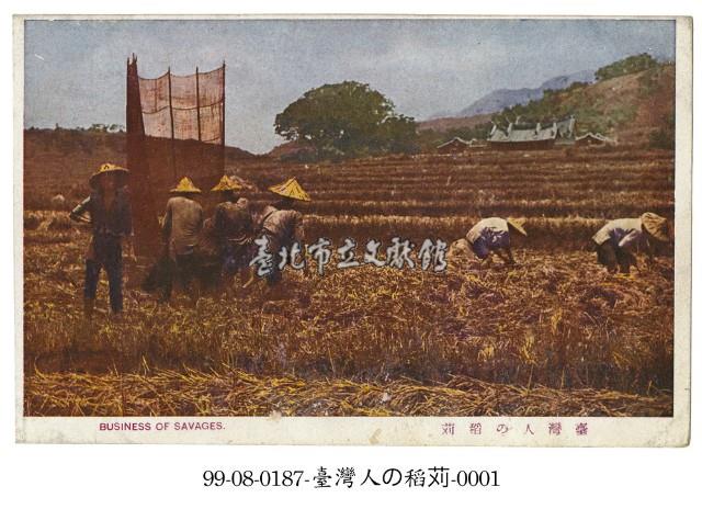 稻穫藏品圖，第1張