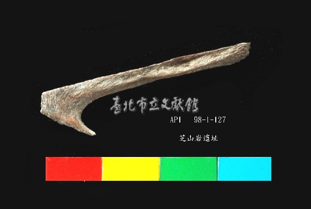 芝山岩文化魚骨藏品圖，第1張