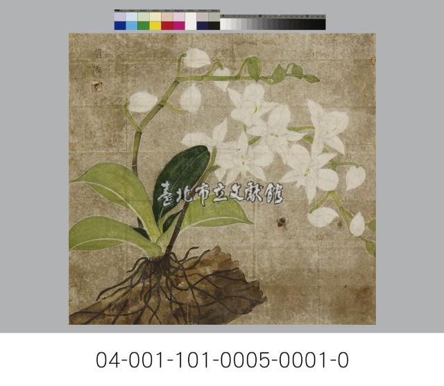膠彩蘭花藏品圖，第1張