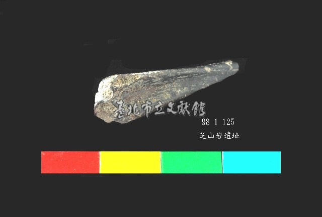芝山岩文化魚骨藏品圖，第1張