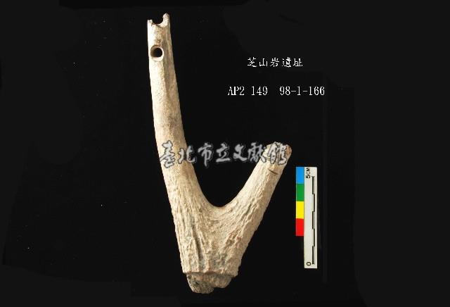 芝山岩文化人工加工鹿角藏品圖，第1張