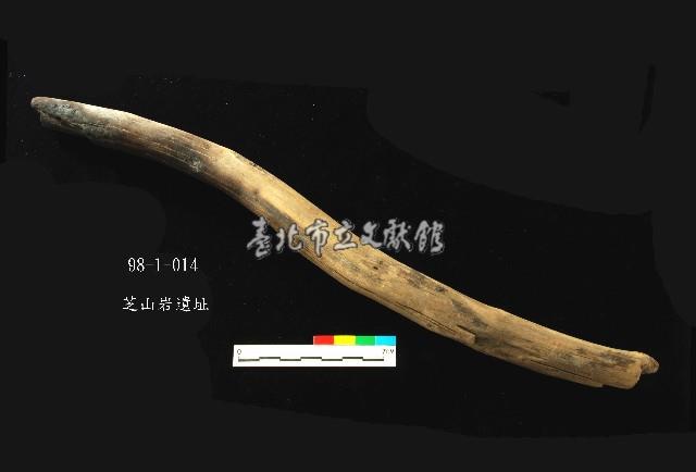 芝山岩文化木棒藏品圖，第1張