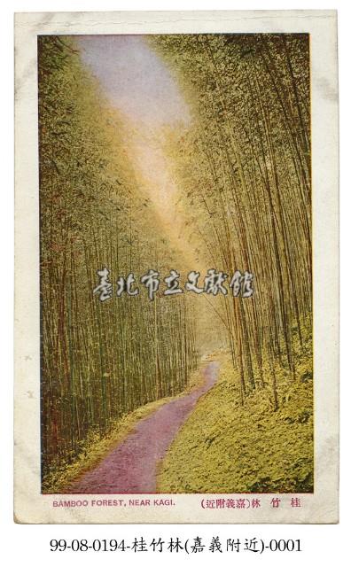 嘉義附近桂竹林藏品圖，第1張